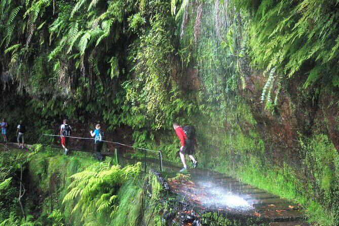 The Kings Levada - Levada Do Rei - Key Points