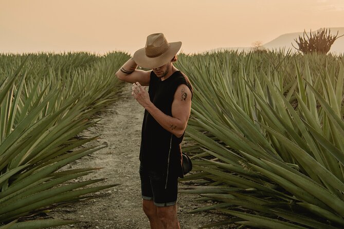 The Mezcal Journey - Key Points