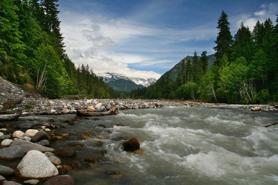 The Mount Rainier Majestic Trails Self-Guided Audio Tour - Key Points