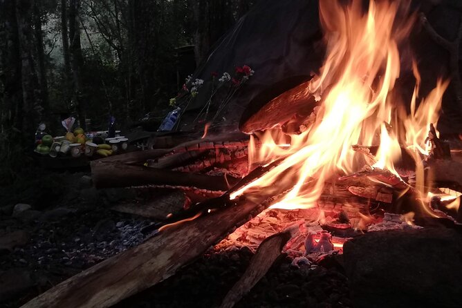 Therapeutic Temazcal: Harmony and Rebirth in the Forest - The Healing Power of Temazcal