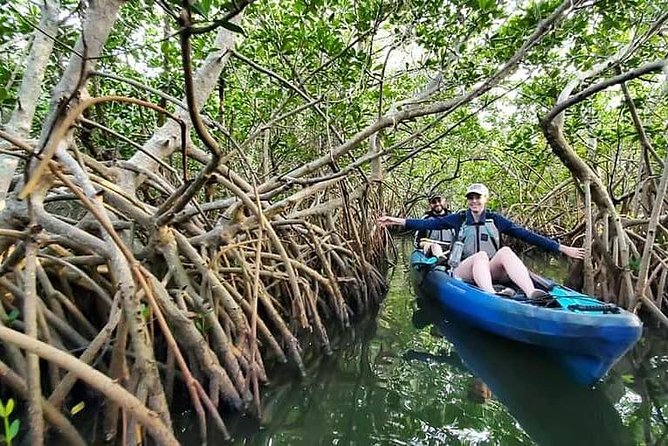 Thousand Islands Mangrove Tunnel Kayak Tour With Cocoa Kayaking! - Key Points