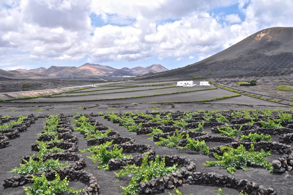 Timanfaya And El Golfo For Cruise Passengers (Mornings) - Key Points