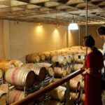 top 3 cape town wineries half day private tour Top 3 Cape Town Wineries Half Day Private Tour