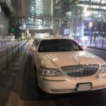 tour of paris by limousine by day or night Tour of Paris by Limousine by Day or Night.