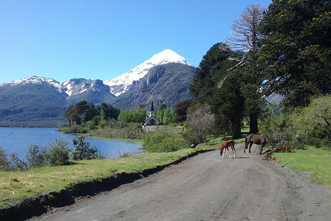 Tour of the Lanin Volcano and Huechulafquen Lake - Key Points