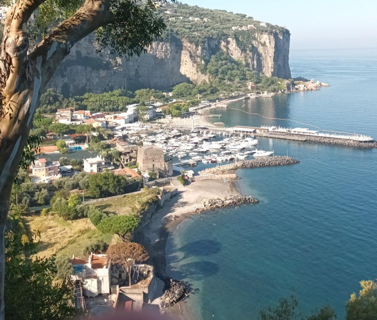 Tour Sorrento and Positano From Naples - Key Points