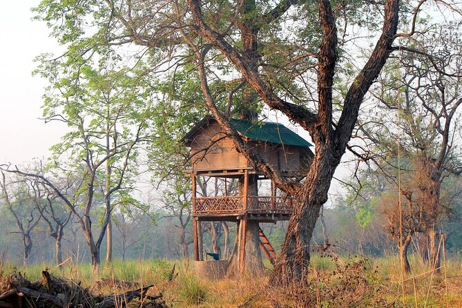 Tower Night Stay Bardia , Tree House Accommodation in Bardia - Key Points