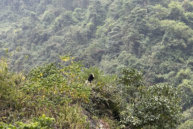 Trekking Ban Gioc Waterfall to Hidden Village on Unique Route - Route Overview