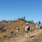 trekking in munnar Trekking in Munnar