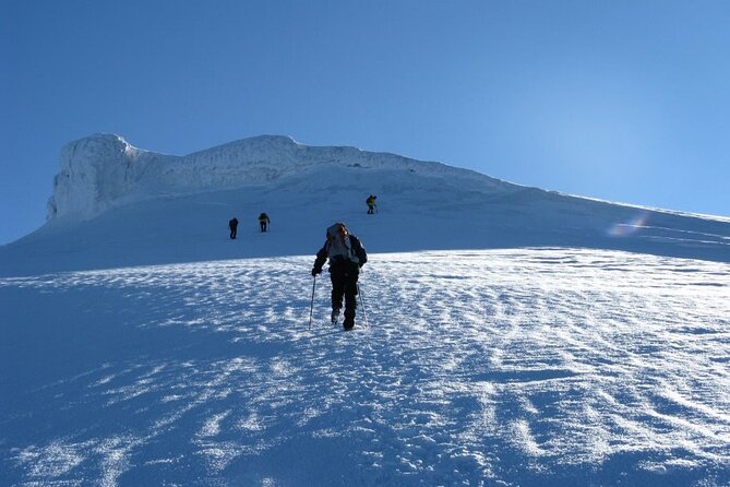 Trekking Mount Ararat Experience - Key Points