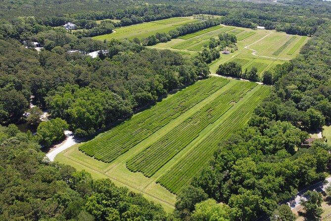 Trolley Tour in Wadmalaw Island of South Carolina - Key Points