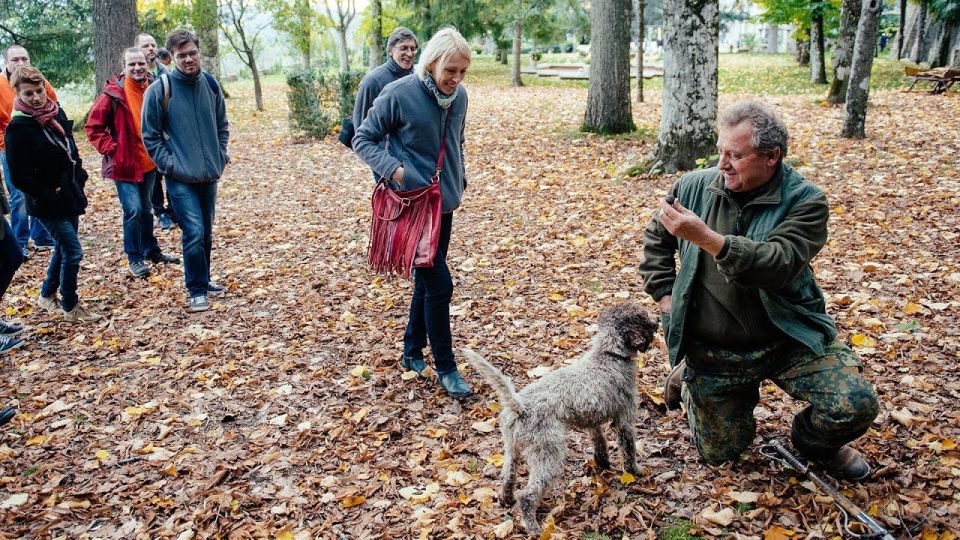 Truffle Hunting In The Hills Of Tuscany - Key Points