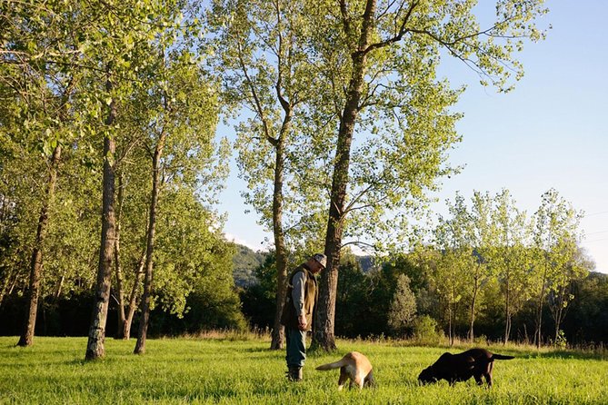 Truffle Hunting in the Woods of Istria and Wine Tasting With Alex - Key Points