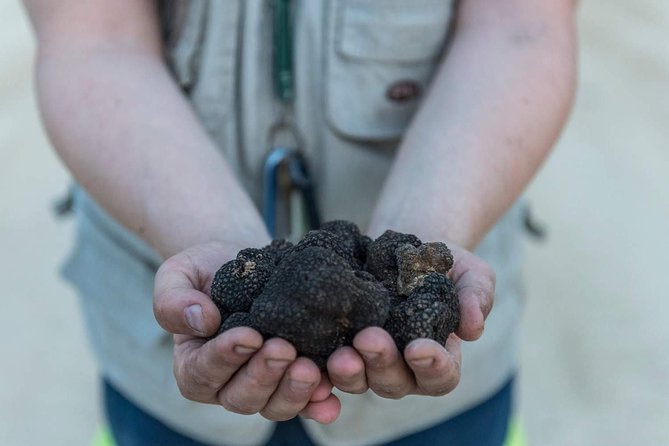 Truffle Hunting - Key Points