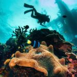 try and discover scuba diving Try and Discover Scuba Diving