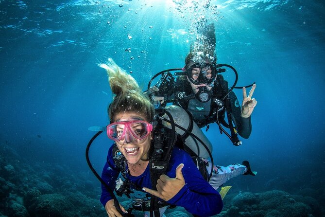 Try Scuba Diving Experience in Fujairah - Key Points