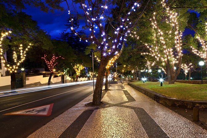 Tuk Tuk Funchal Magic Christmas Lights - Key Points