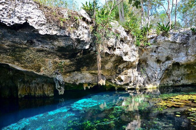 Tulum Area Experiences Guided E-Bike Tour- 3 Cenotes Snorkel/Swim & Local Lunch - Key Points