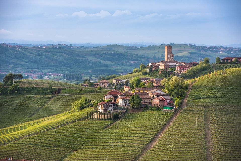 Turin: Private Barolo Wine Region Day Trip With Lunch - Key Points