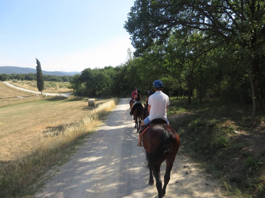 Tuscany: Horseback Riding Adventure With Lunch in a Winery - Key Points