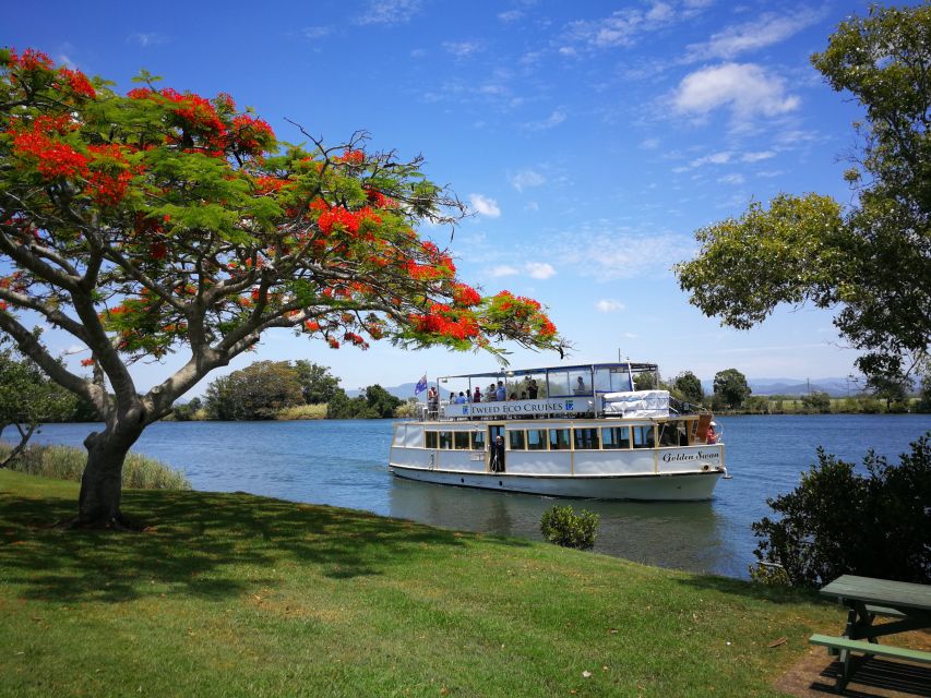 Tweed Heads: Tweed River and Rainforest Cruise With Lunch - Key Points