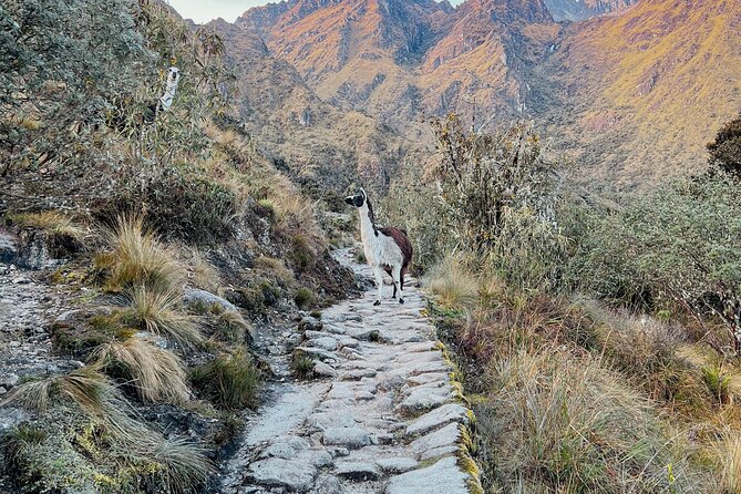 Two Day Short Inca Trail to Machu Picchu - Itinerary Overview