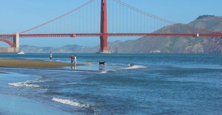 Ultimate Golden Gate Bridge & SF Bay Explorer Tour - Key Points