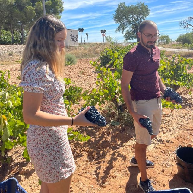 Valencia: Utiel-Requena Cave & Winery Day Trip With Tasting - Key Points