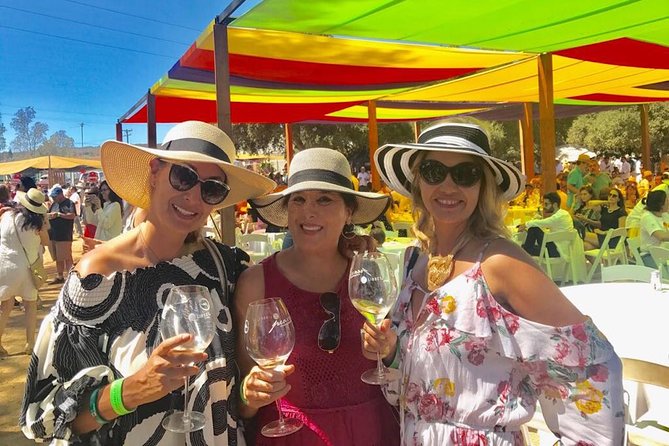 Valle De Guadalupe Gourmet Tour: Wine & Food From San Diego - Key Points