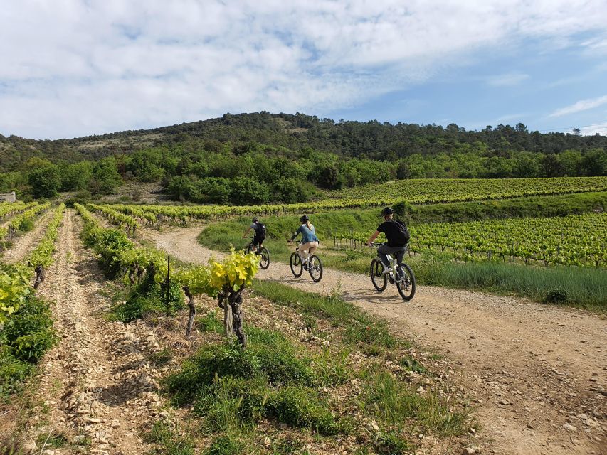 Vallon-Pont-dArc: Electric Bike Wine Tour & Tasting - Key Points