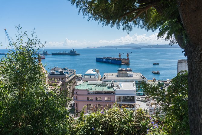 Valparaiso Private Day Tour From Santiago  - Valparaíso - Tour Details