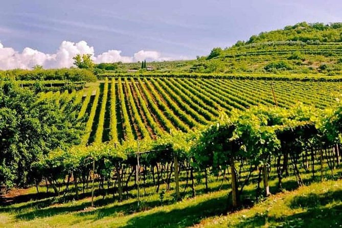 Valpolicella - the Wine Paradise - Key Points