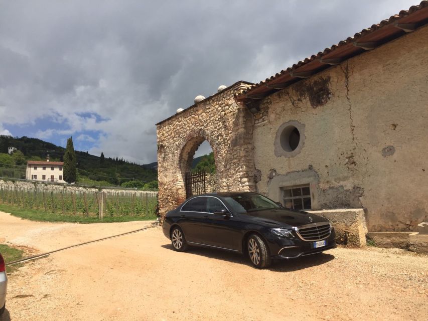 Verona: Amarone Wine Tour With Gourmet Lunch in Roman Villa - Key Points