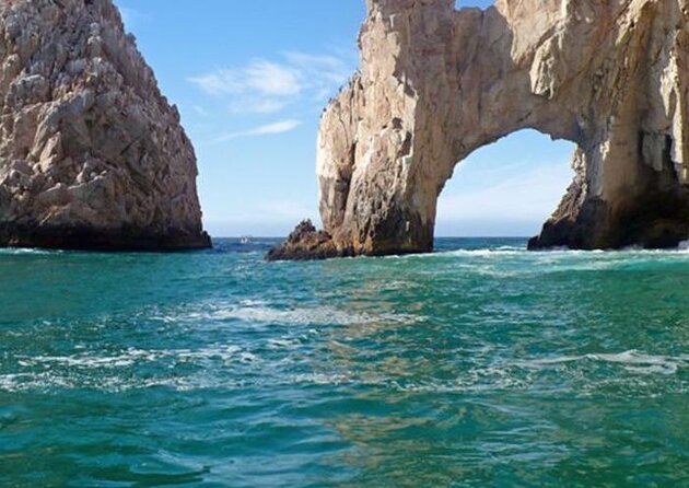 View of Marine Life in Cabo San Lucas on a Glass Bottom Boat. - Key Points