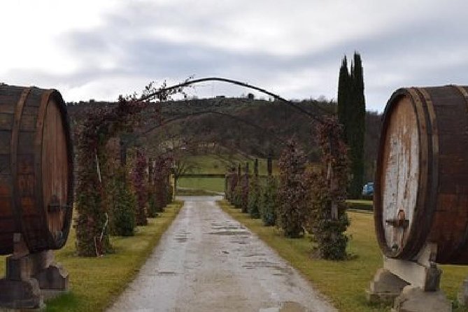 Vineyards Tour With Electric Jeep With Wine Tasting