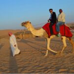 vip desert safari dubai with camel riding VIP Desert Safari Dubai With Camel Riding