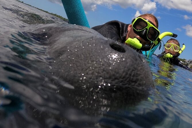 vip private boat manatee snorkel tour with in water guide and photograper VIP Private Boat Manatee Snorkel Tour With In-Water Guide and Photograper