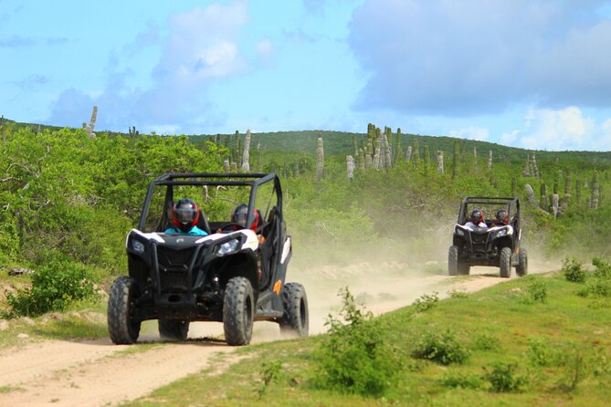 Viper Trail UTV Small-Group Experience in Cabo San Lucas - Key Points
