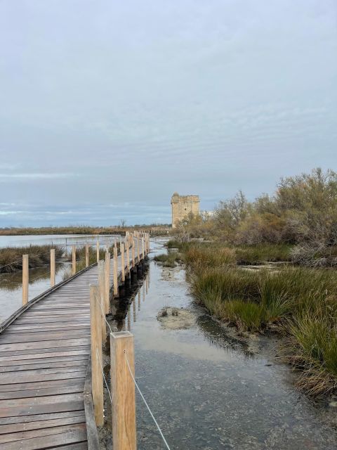 Visit Camargue and Salt Marshes From Montpellier - Key Points