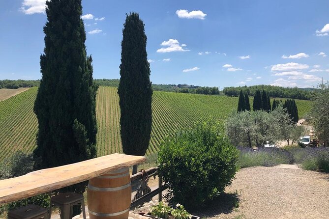 Visit Of The Chianti Classico And The Tuscan Countryside - Key Points