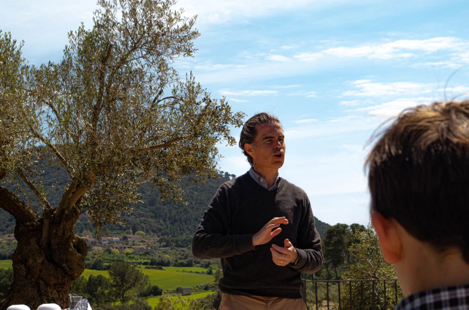 Visit of the Olive Grove, Olive Oil Tasting and Snack - Key Points