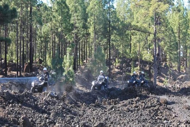 Volcano Quad Trip in Tenerife - Key Points