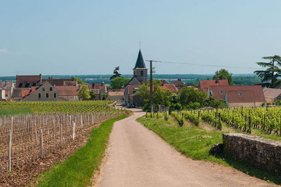 vosne romanee private vineyards walking tour with tasting Vosne-Romanée: Private Vineyards Walking Tour With Tasting