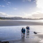 waiheke island forest and beach premium guided walk Waiheke Island: Forest and Beach Premium Guided Walk