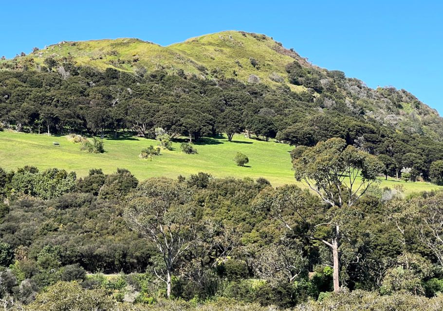 Waiheke Island: Full Day Guided History and Heritage Tour - Key Points