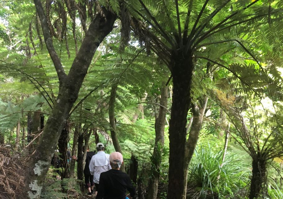 Waiheke Island: Private Guided Te Ara Hura 5-Day Walk - Key Points