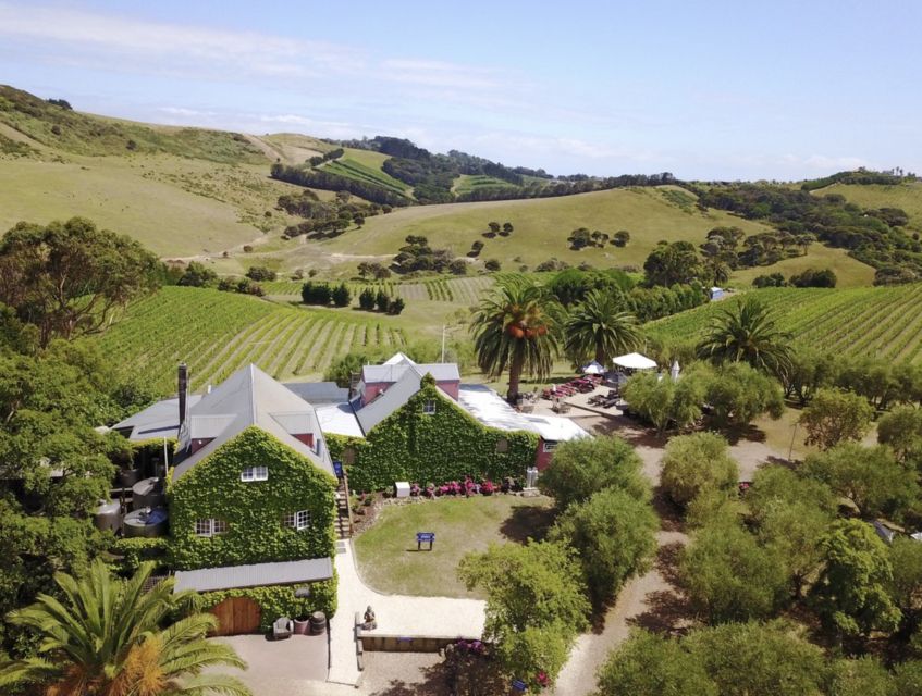Waiheke Island: Tour With Wine Tastings and Restaurant Lunch - Key Points