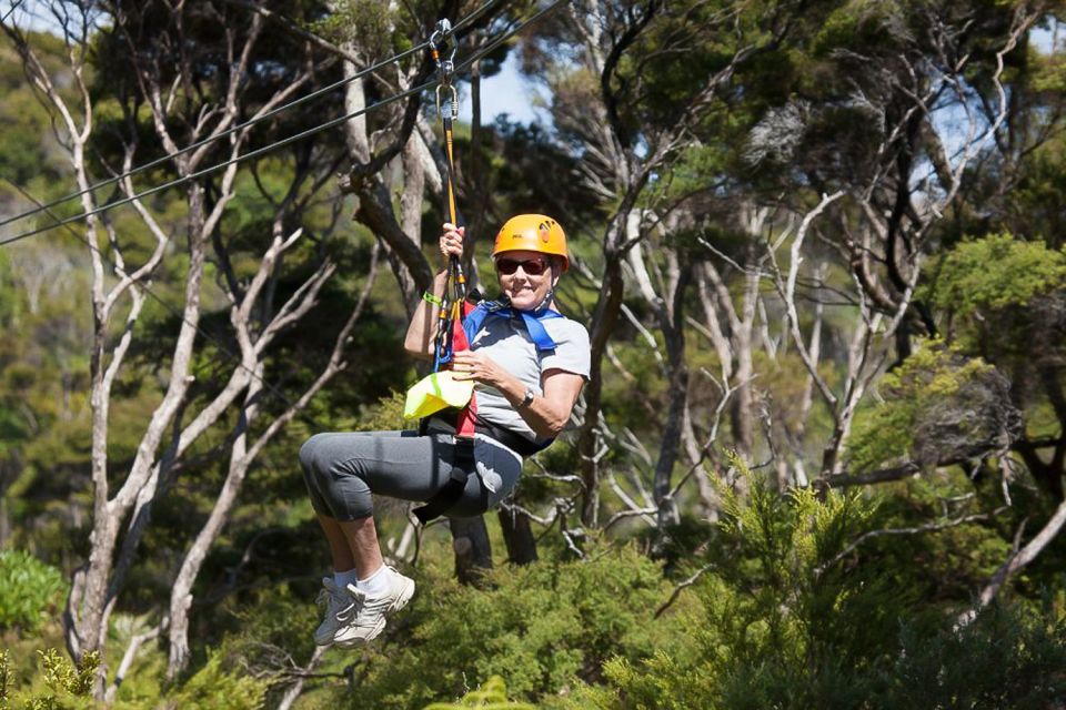 Waiheke Island: Zipline and Native Forest Adventure Trip - Key Points