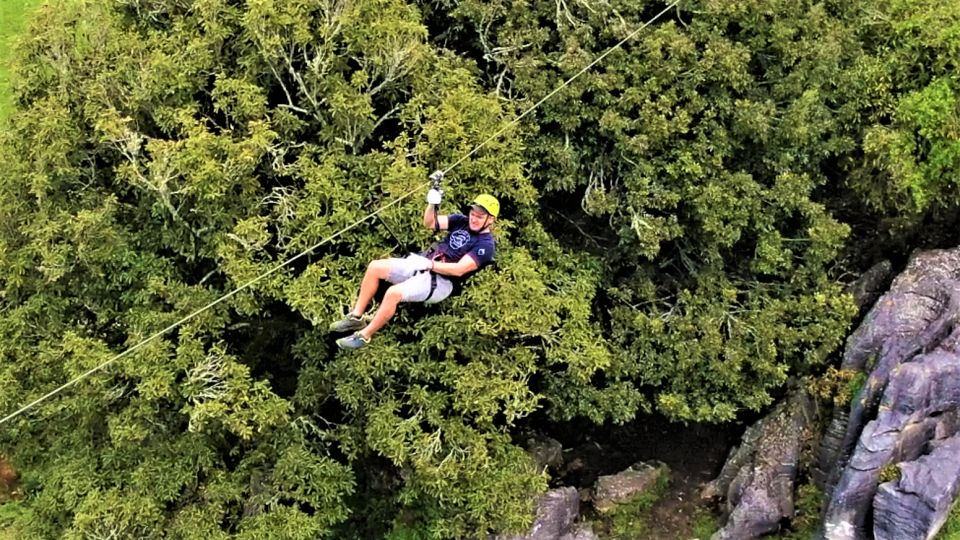 Waitomo Caves 1-Kilometer-Long Zipline Tour - Key Points