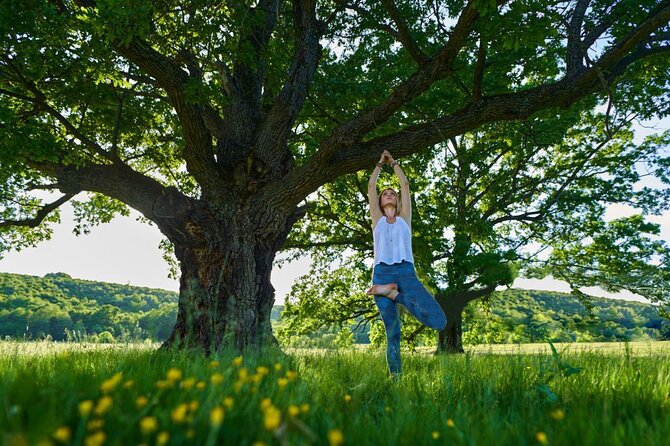 Walk And Meditative Yoga Session In Nature Under Cork Trees - Key Points